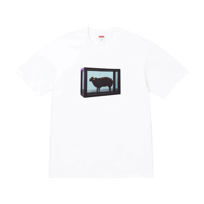 Supreme xOver Damien Hirst  - Black Sheep Tee (白色)