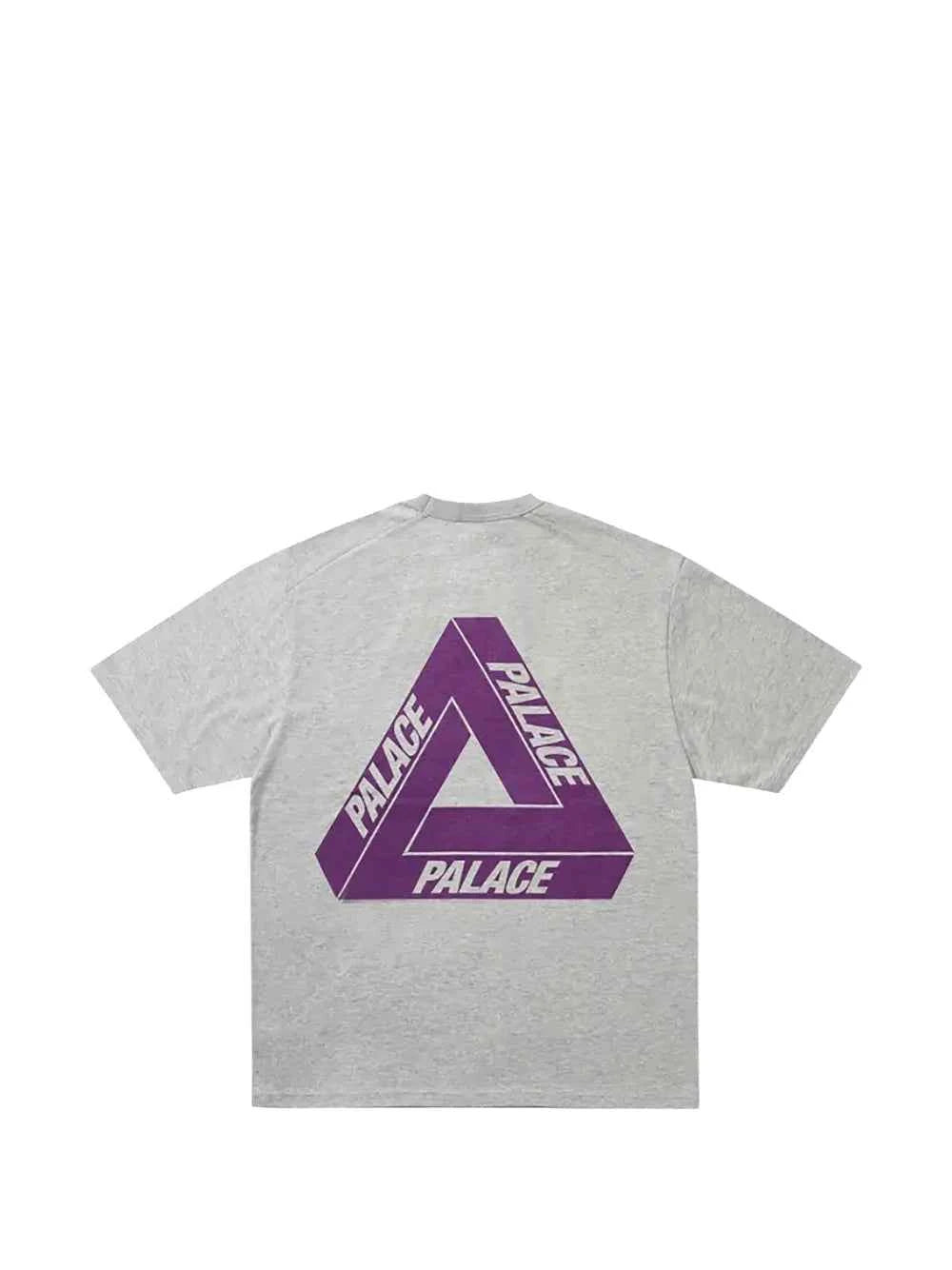 The North Face xOver PALACE - 紫標聯乘Tee (灰色)