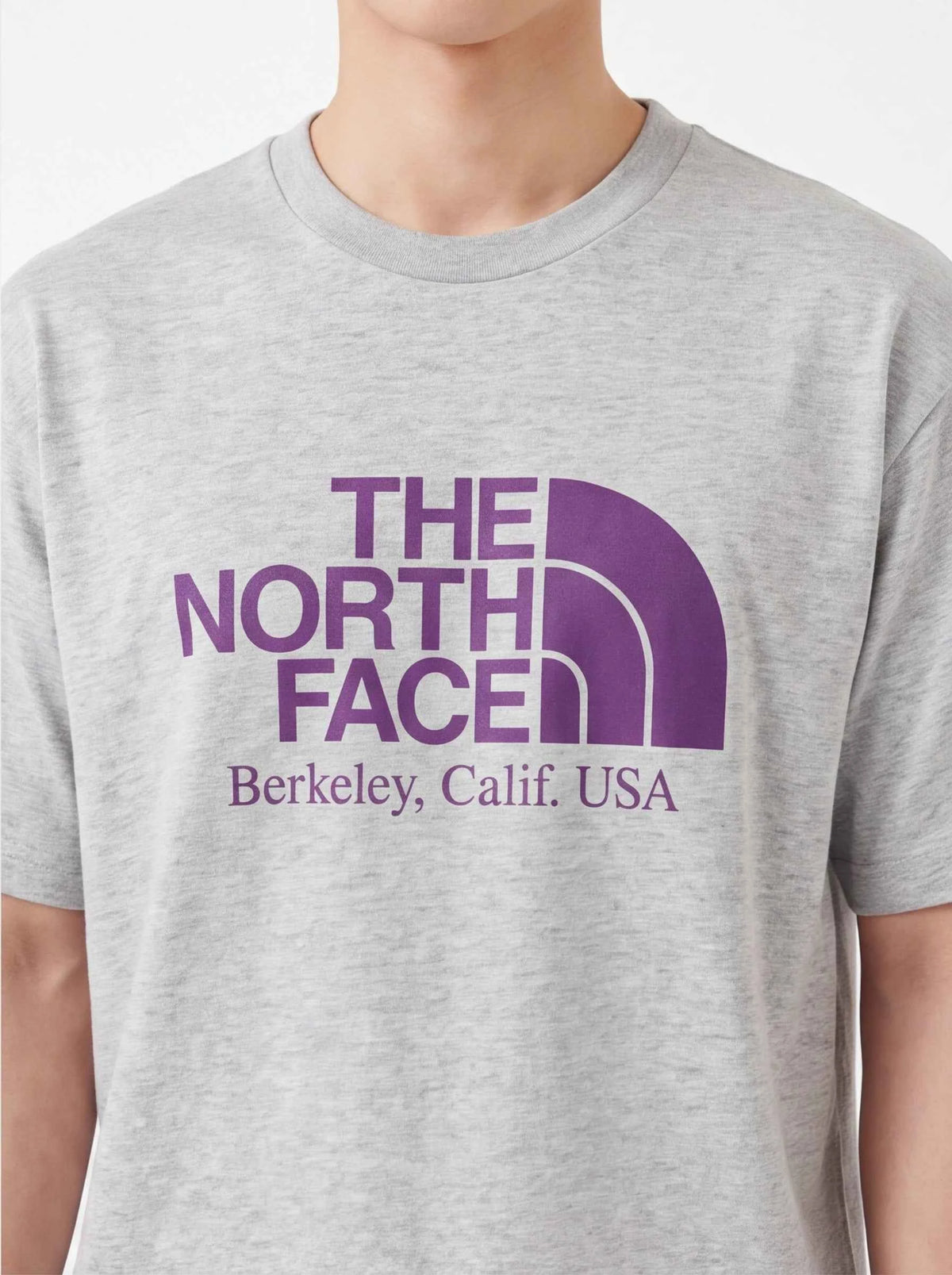 The North Face xOver PALACE - 紫標聯乘Tee (灰色)