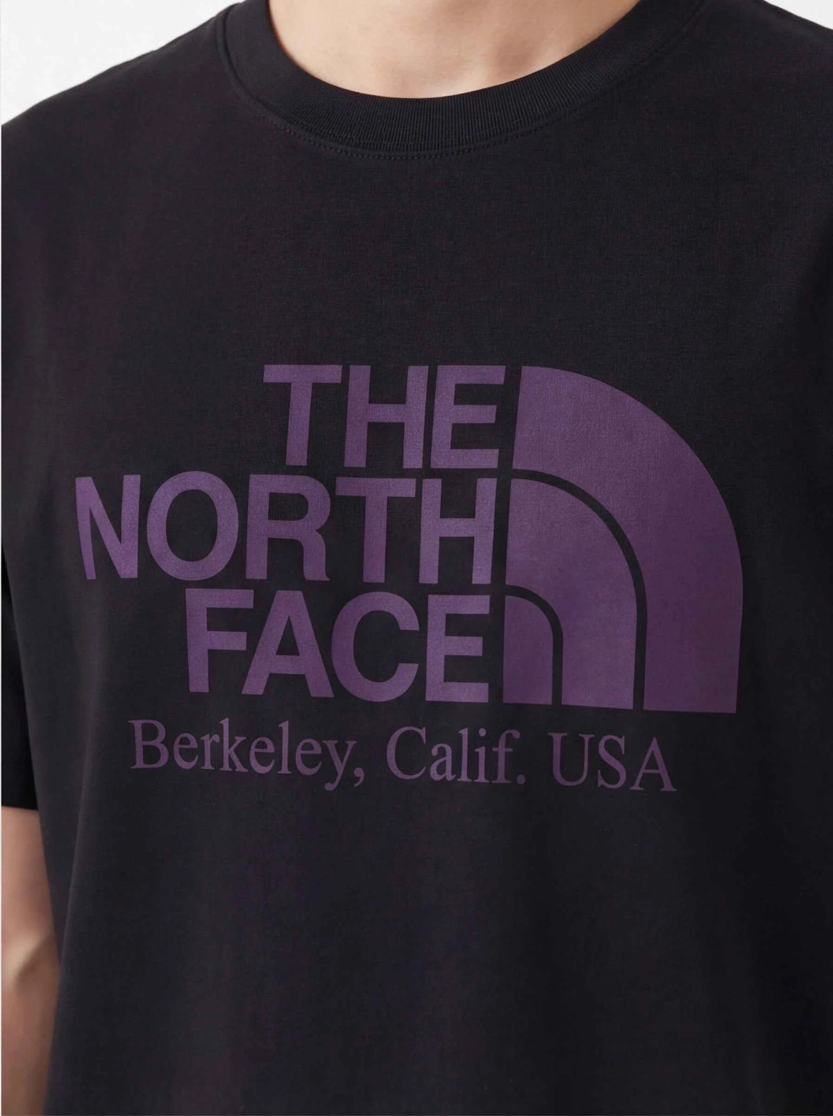 The North Face xOver PALACE - 紫標聯乘Tee (黑色)