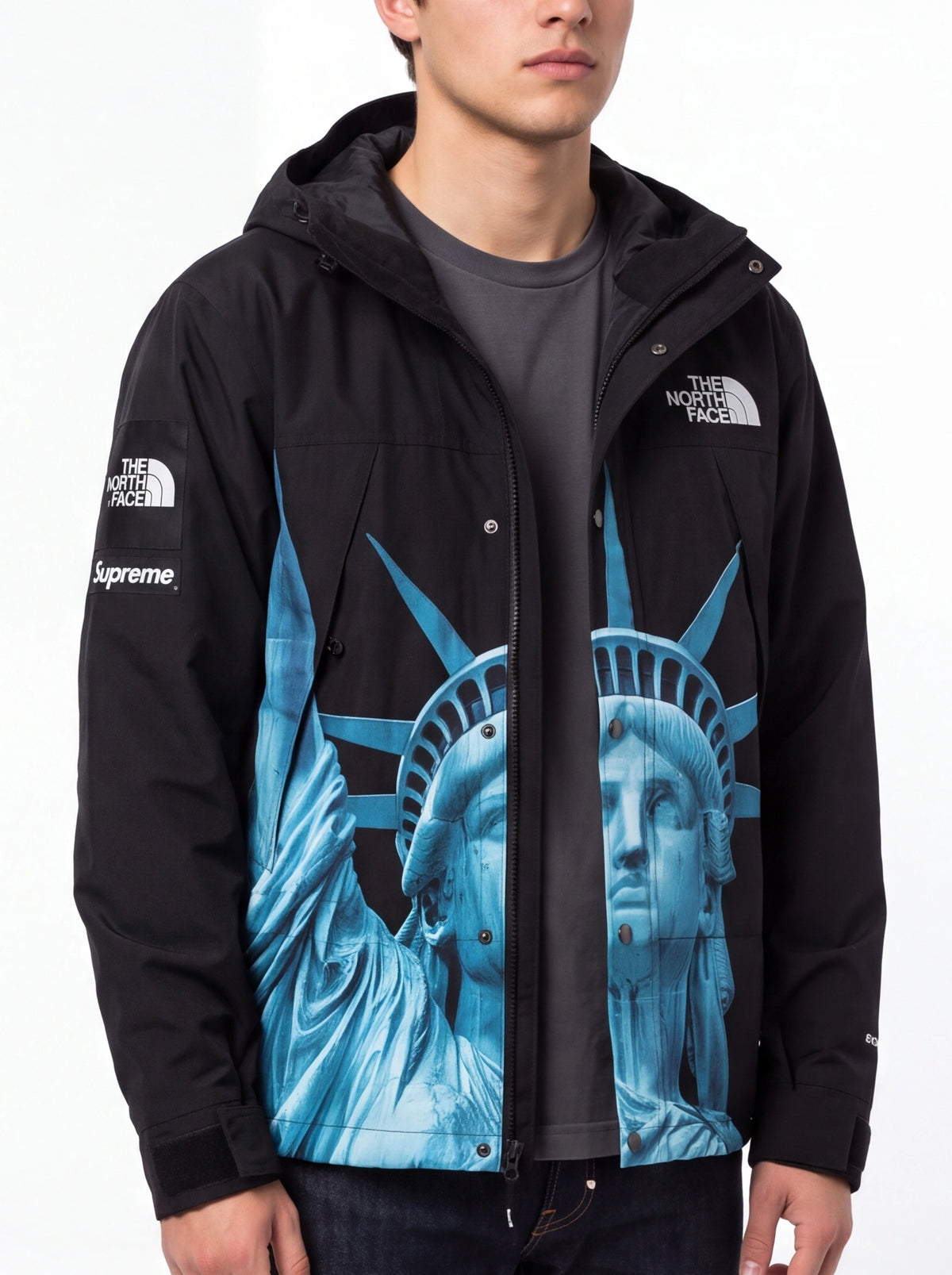 Supreme xOver The North Face - 自由女神 防風外套