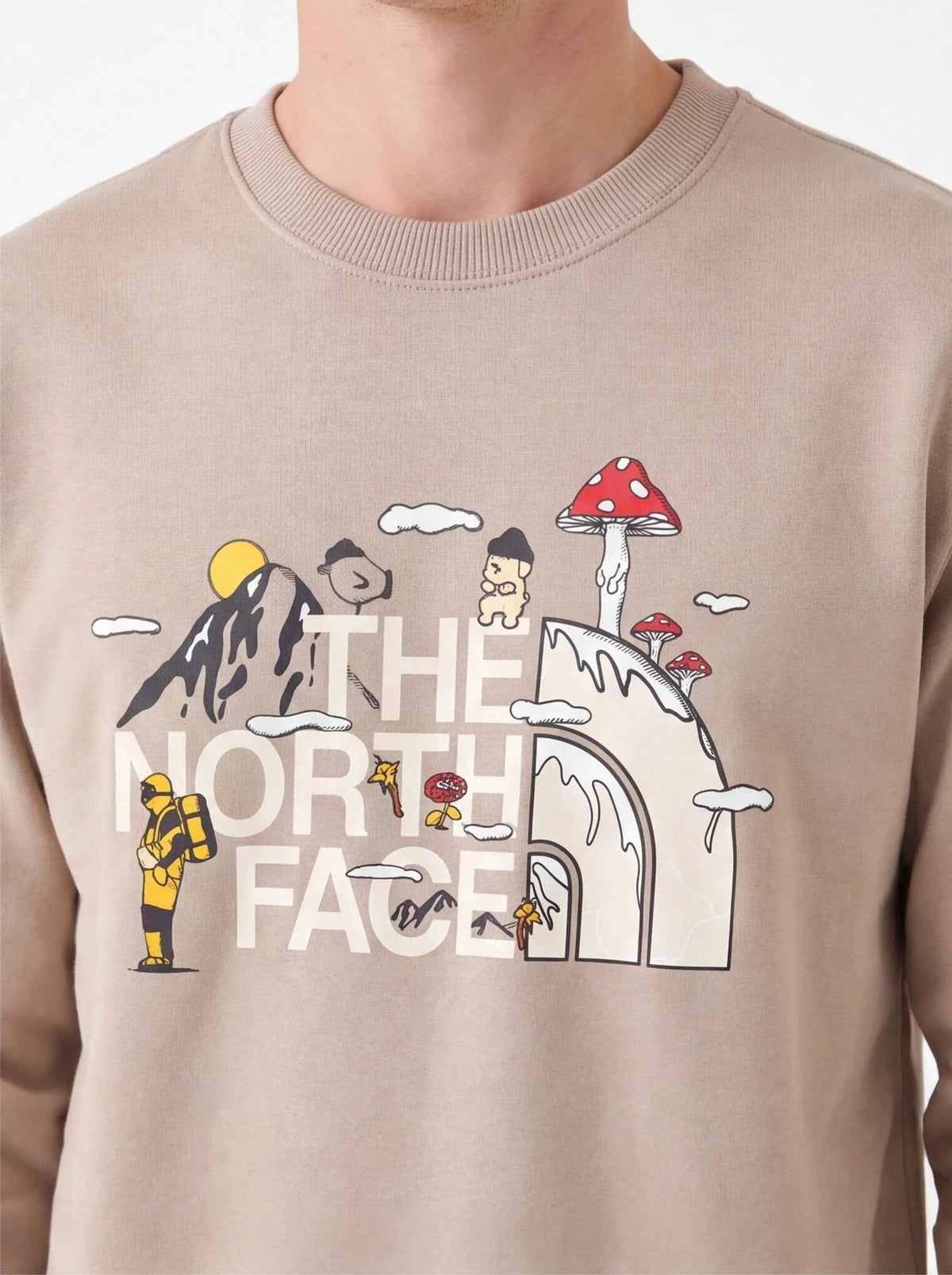 The North Face xOver Uncle Belly - 趣味印花長袖大學T (啡色)